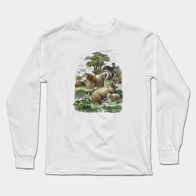 Farm Animals Country Life Illustration Long Sleeve T-Shirt by Biophilia